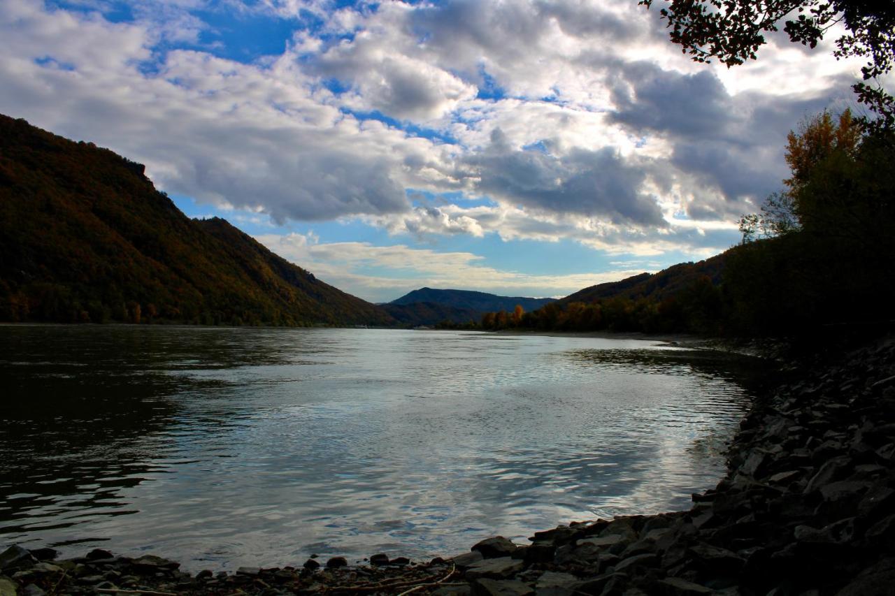 Апартаменты Haus-Donau In Der Wachau Аггсбах Экстерьер фото