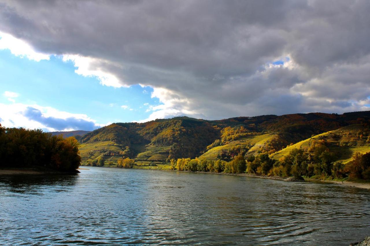 Апартаменты Haus-Donau In Der Wachau Аггсбах Экстерьер фото