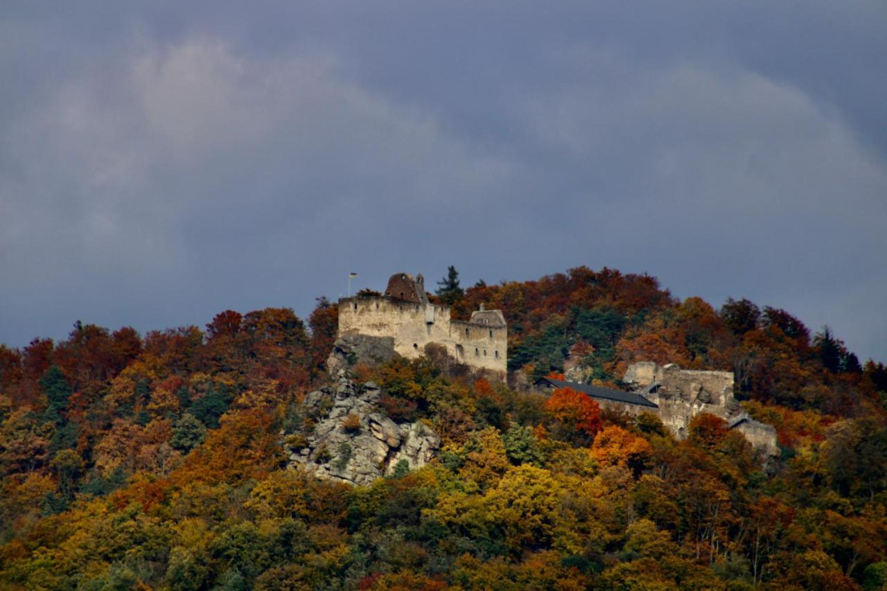Апартаменты Haus-Donau In Der Wachau Аггсбах Экстерьер фото